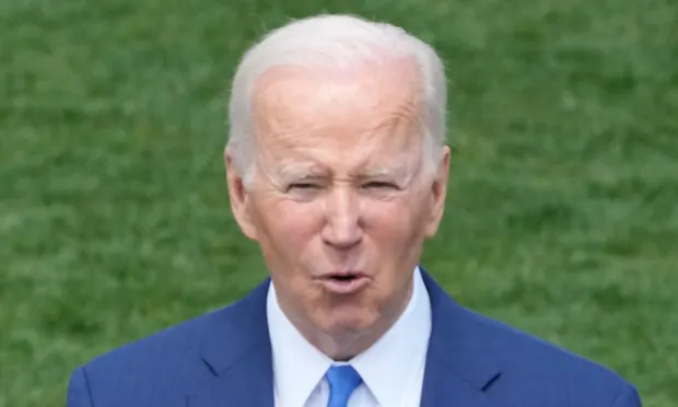  Biden needs to start going after large corporations if he wants to win again